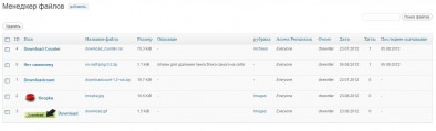 Статистика, выводимая плагином WP-Filebase Download Manager