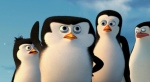 Пингвины Мадагаскара - молодежь